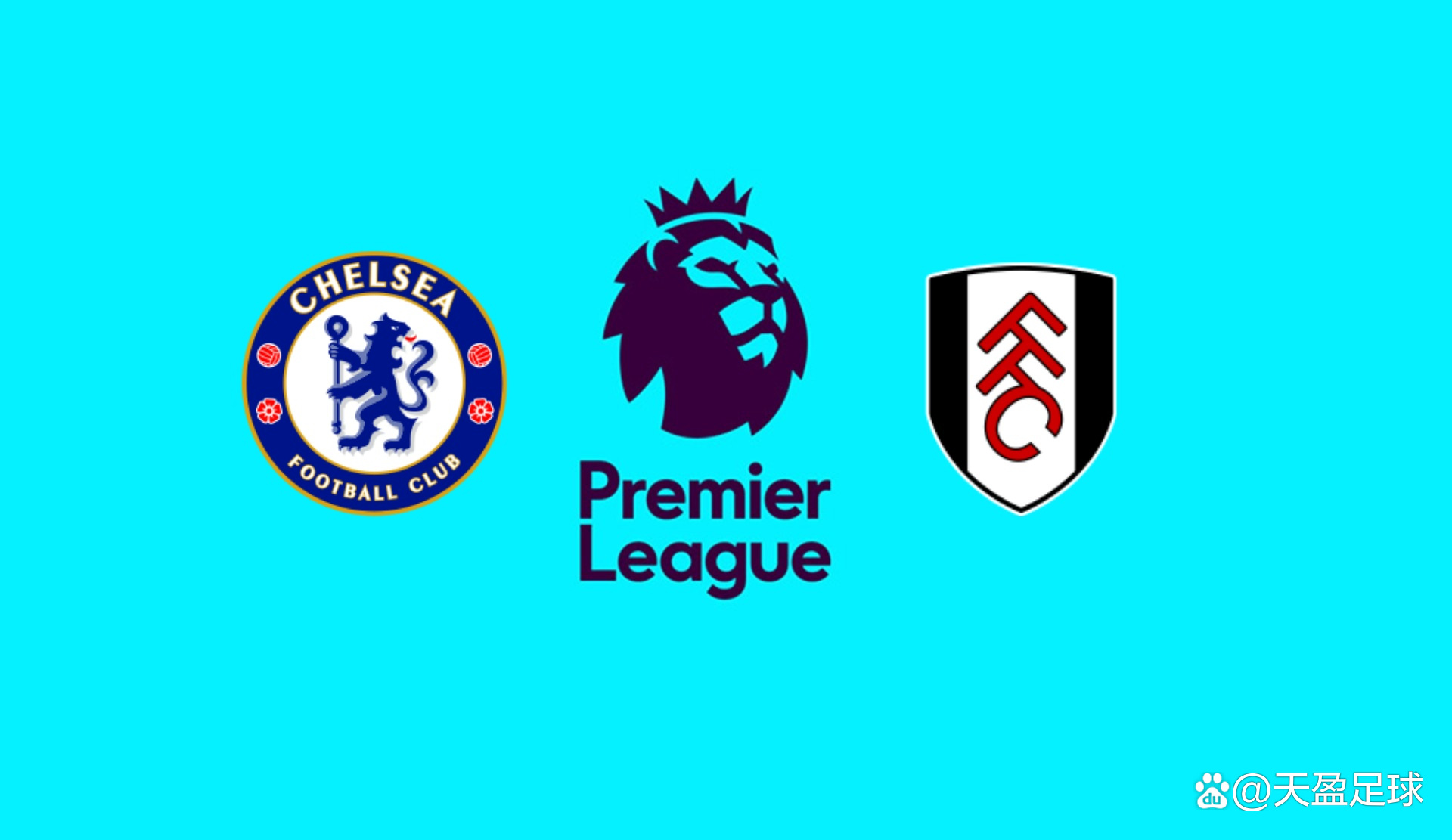 日媒：日本国门铃木彩艳预计13日在日本接受手指骨折手术